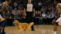 NBA's Most Ridiculous Moments: From Skid Marks to Doggy Timeouts